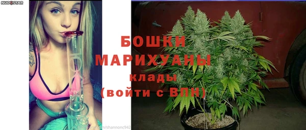 spice Аркадак